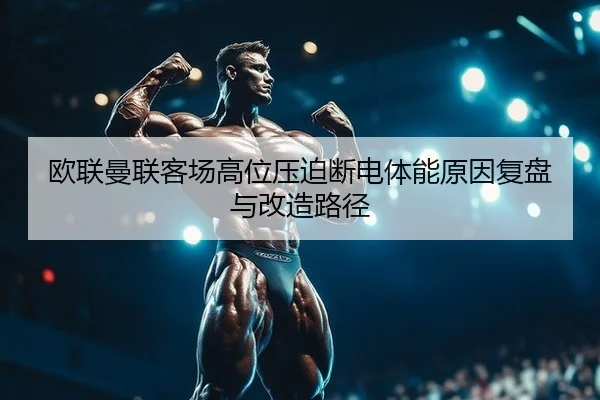 ou-lian-man-lian-ke-chang-gao-wei-ya-po-duan-dian-ti-neng-yuan-yin-fu-pan-yu-gai-zao-lu-jing-2-571.jpg